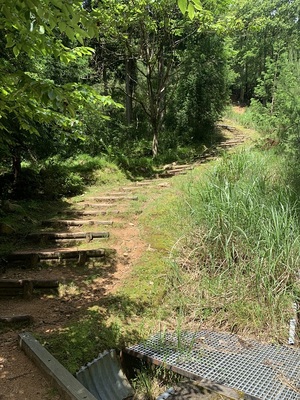 駅裏登山道