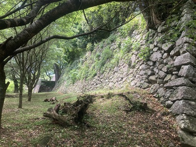 北の丸　石垣