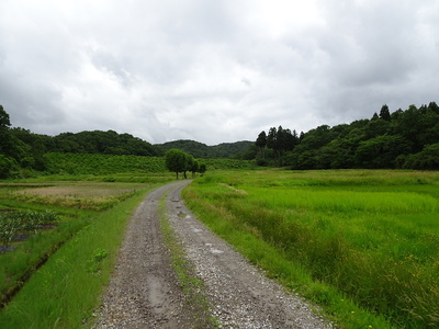 大手道