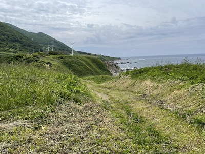 館跡より堀切址？の土橋？