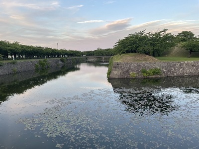 堀と土塁の夕景