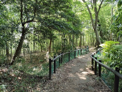 小机城本丸空堀