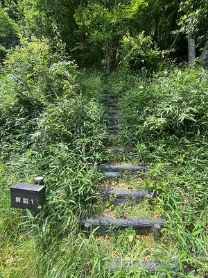 登山道(階段)