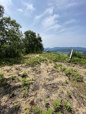 主郭跡