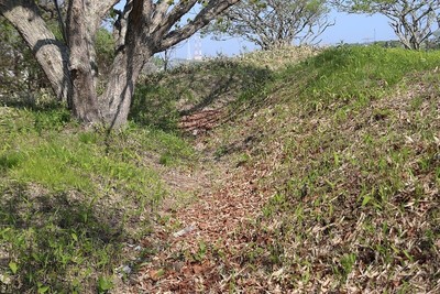 2重堀内側と土塁