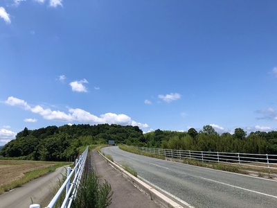 城趾遠景（北から）