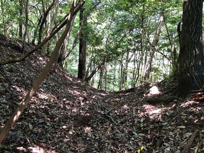 主郭北東尾根二重堀切の二本目