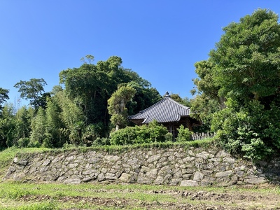 室城（遠景）