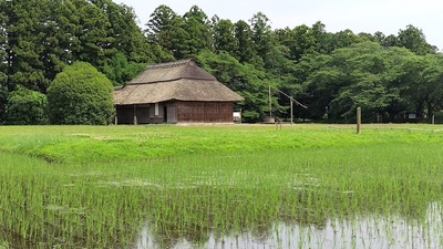 桜町陣屋と報徳田