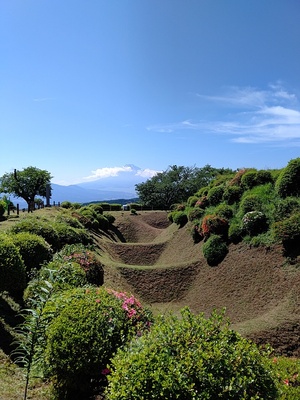 西櫓の畝堀