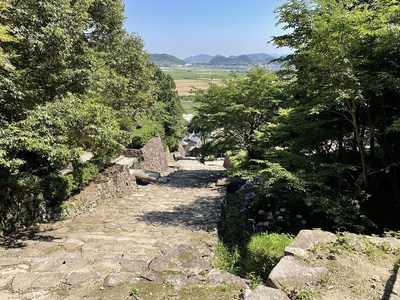 武井夕庵邸址より