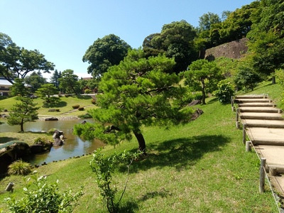 綺麗な庭園