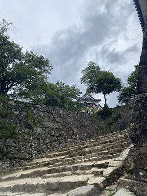 登城中