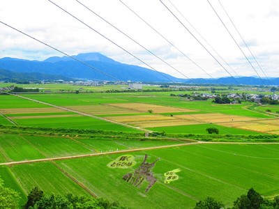 展望台からの眺望（伊吹山）