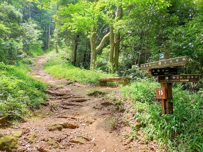 分岐点の案内板