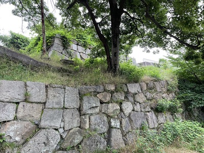 荒れ放題…天守台