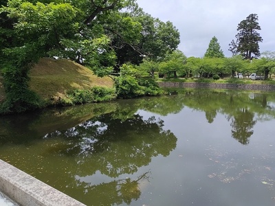 内堀越しの土塁