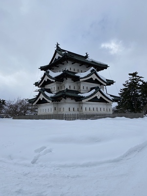 天守(南東から)