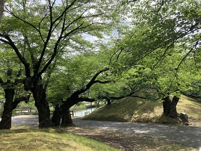 二の丸 外北門跡