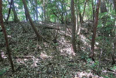 采女城 七の郭 土塁