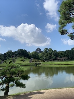 後楽園から望む天守