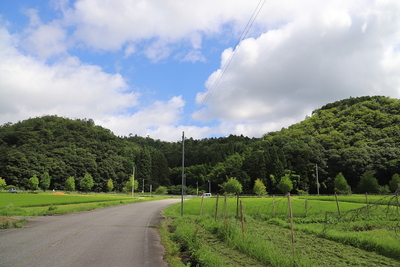 遠景