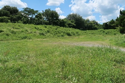 篠山城 南馬出土塁