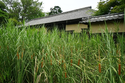 壕から長屋門