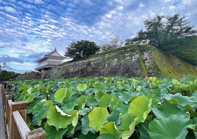 城郭全景