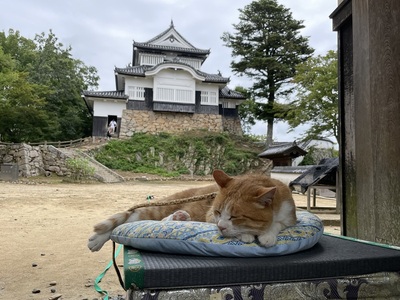 城主さまと天守