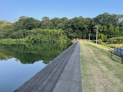 城池親水より韮山城址を望む