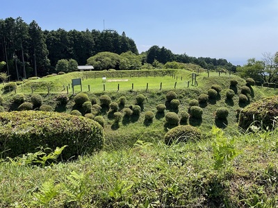 西の丸からの西櫓