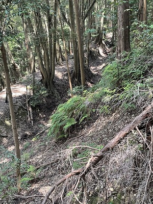 横堀と土塁