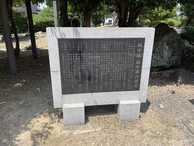 田中城の歴史