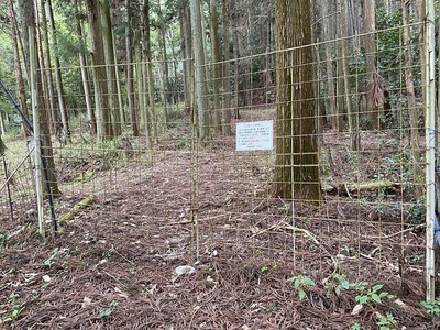 登城口