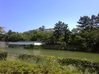 堀越しに見る丸亀城