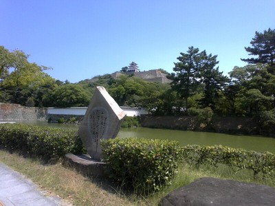 堀越に見る丸亀城