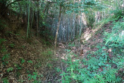 福地氏城 館跡東の空堀 堀底より