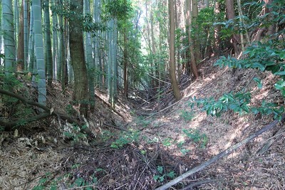 福地氏城 館跡西の空堀