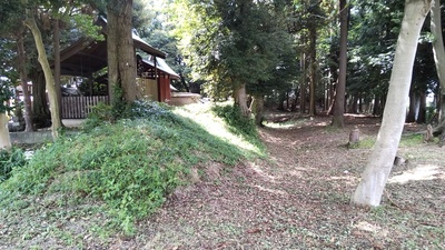 神社裏の土塁