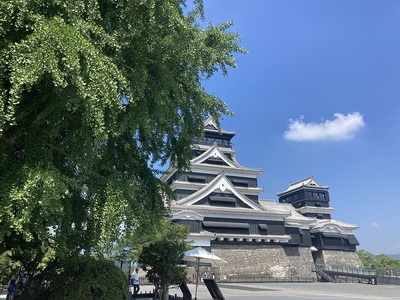 大銀杏と大小天守