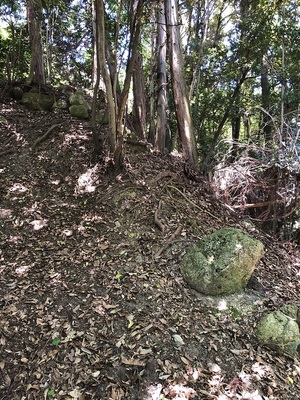 二の丸南下隅の残存石垣