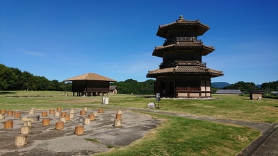 八角鼓桜 と米倉