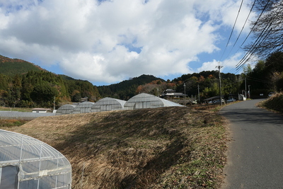 城址遠景