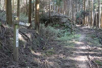 登城路