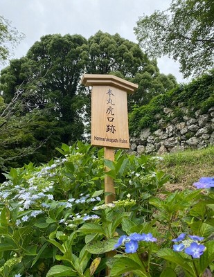 いい感じのお花と本丸虎口跡の看板