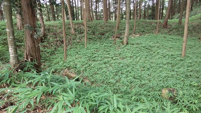 主郭の土塁