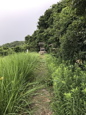 城址風景