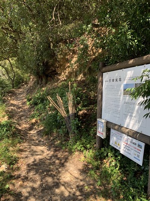 登山道