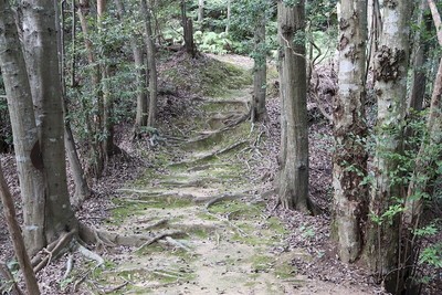 登城路